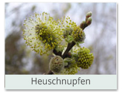 Heuschnupfen