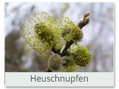 Heuschnupfen