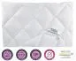 Preview: allsaneo® Microfaser Ganzjahres Steppbett 155x220 cm