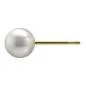 Preview: Antiallergische Perlenohrstecker vergoldet 6 mm Preview: Antiallergische Perlenohrstecker vergoldet 6 mm