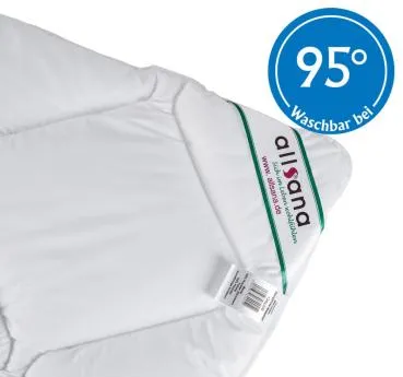 allsaneo® Microfaser Ganzjahres Steppbett 200x220 cm XL