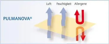 Pulmanova basic Kissenbezug | Allergiker Encasing | milbendicht & atmungsaktiv