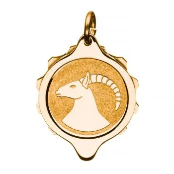 SOS Talisman Anhänger vergoldet, Sternzeichen Steinbock