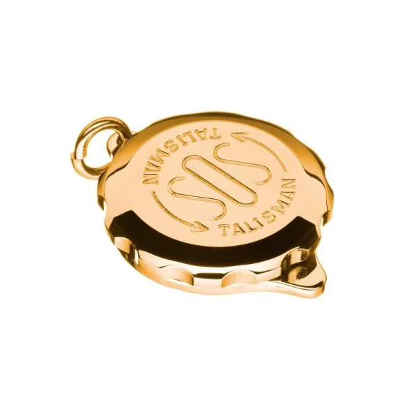 SOS Talisman Anhänger vergoldet, Sternzeichen Fische SOS Talisman Anhänger vergoldet, Sternzeichen Fische