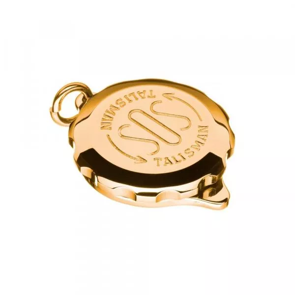 SOS Talisman Anhänger vergoldet, Sternzeichen Krebs SOS Talisman Anhänger vergoldet, Sternzeichen Krebs