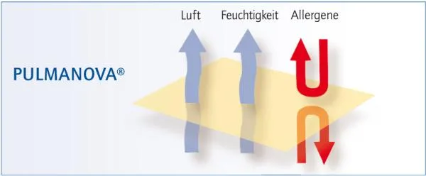 Pulmanova basic Kissenbezug | Allergiker Encasing | milbendicht & atmungsaktiv