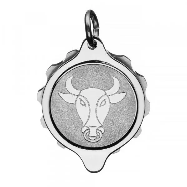 SOS Talisman Anhänger Edelstahl, Sternzeichen Stier
